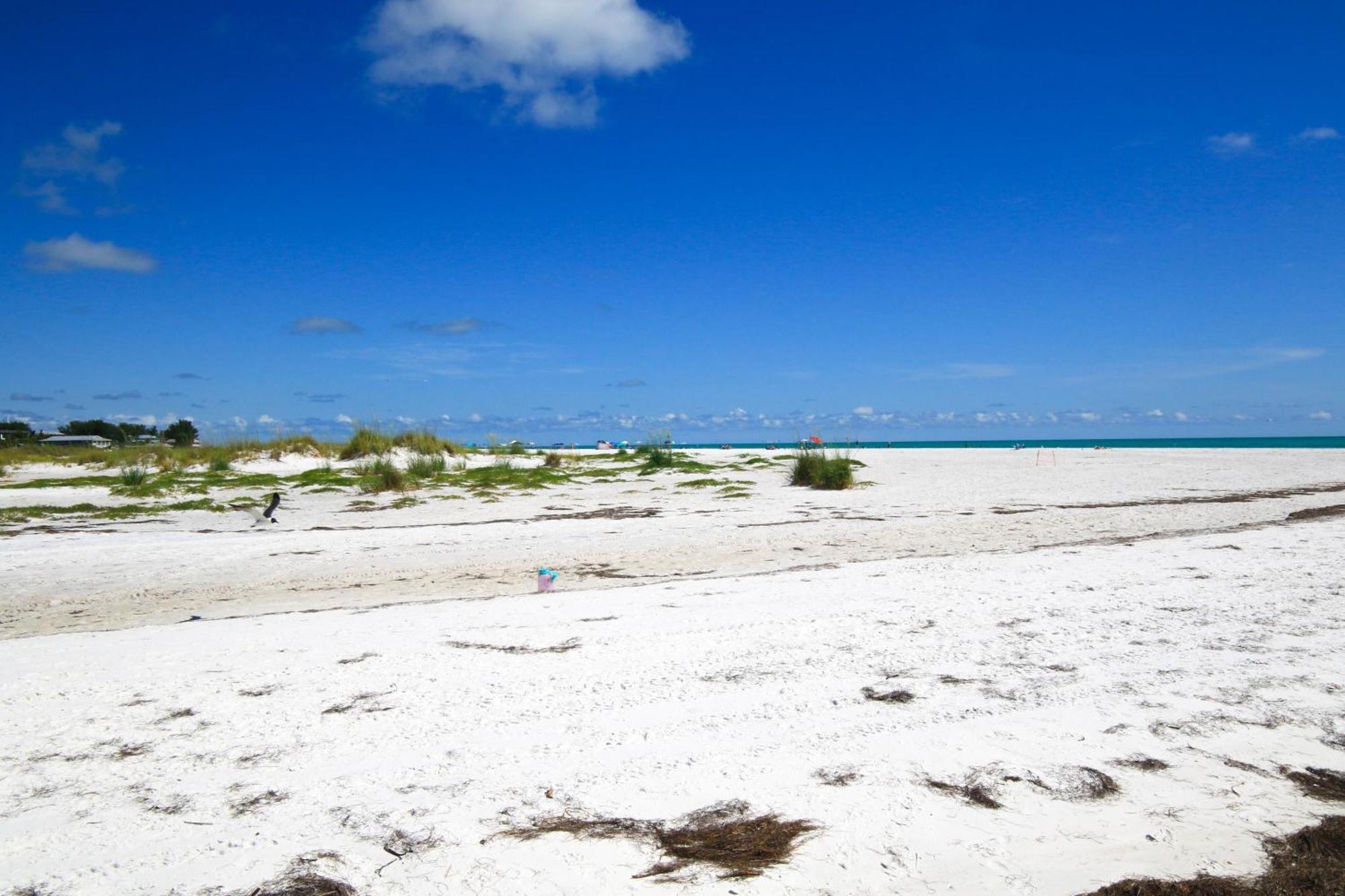 Anna Maria Island Runaway Tropical Dream-One Minute Walk To The Beach-Heated Pool Bradenton Beach Buitenkant foto